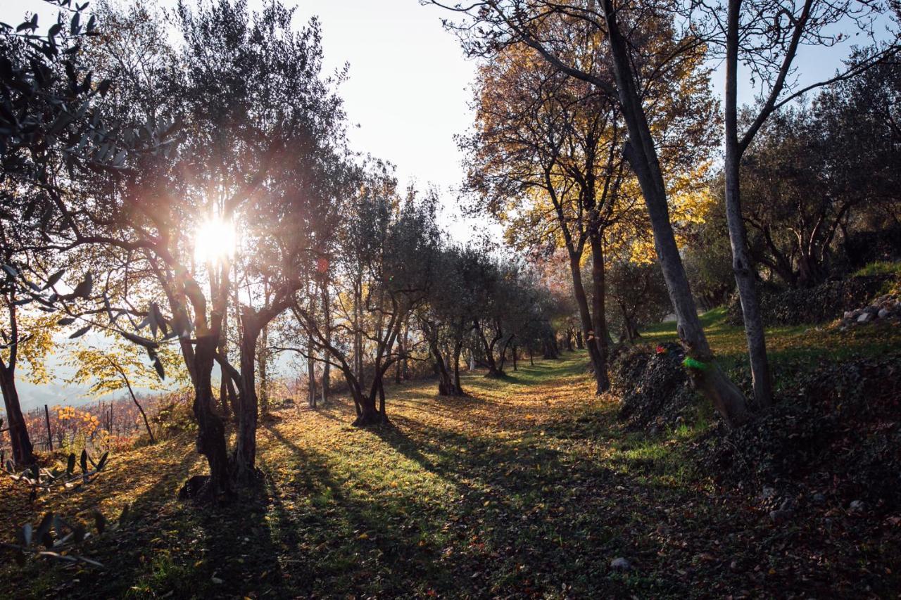 Tenuta Delo Relais Βερόνα Εξωτερικό φωτογραφία